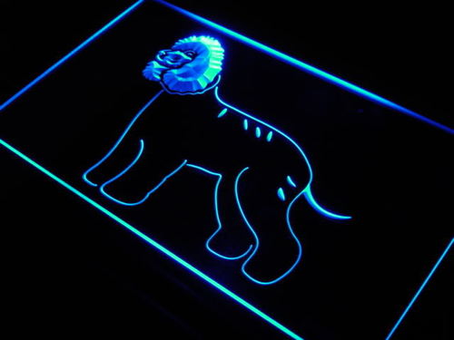 Irish Water Spaniel Dog Pet Shop Neon Light Sign